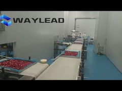 Ligne de production d'emballage de fruits et légumes lyophilisés