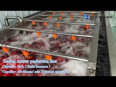 Machine d'emballage de boîtes de tomates de 1 kg