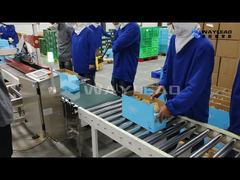 Watch: Plastic / Laminated Paper Side Sealing Packing Machine High Accuracy 30-50 Case/Min Showcase