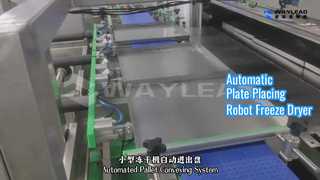 Lyophilisateur robot à placement automatique de plaques