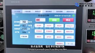 Machine de conditionnement rapide de sachets de liquides WG250