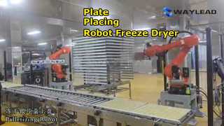 Machine de conditionnement automatique de lyophilisateur de robot de placement de plaque