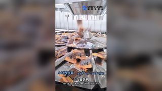 Machine d'emballage VFFS pour poudres liquides de granulés alimentaires