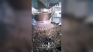 Emballeur de sachets minimum de 70 sacs rapide et fiable