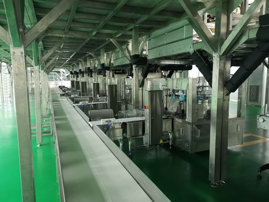 Ligne d'emballage automatique de cuisson à coupes multiples à faible bruit ≤ 78 Db