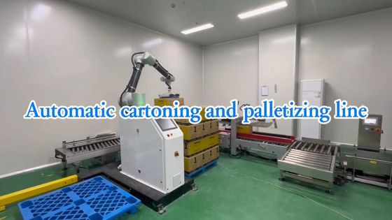 WG300 Solution de ligne d'emballage automatique pour l'industrie alimentaire SUS304