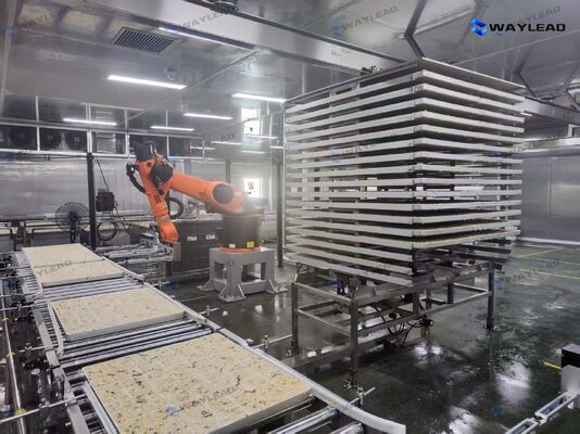 Robot automatique à haute efficacité pour le placement de plaques, personnalisé pour les lignes de production de lyophilisateurs